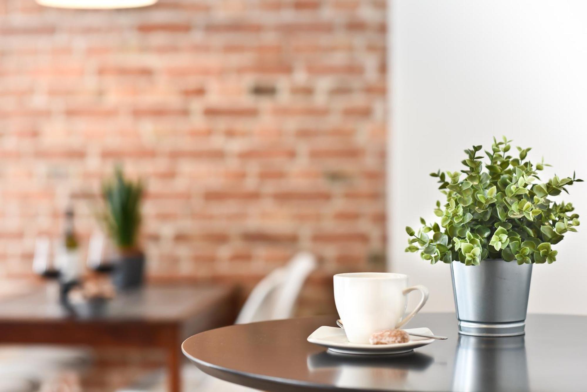 Green Garden Apartment Stary Toruń Dış mekan fotoğraf